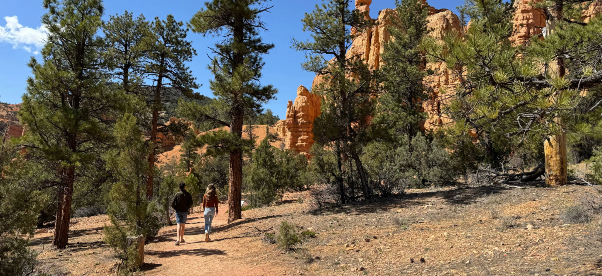 How We Make Time for Our Families While Traveling