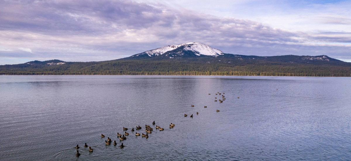 RVing has changed our lives