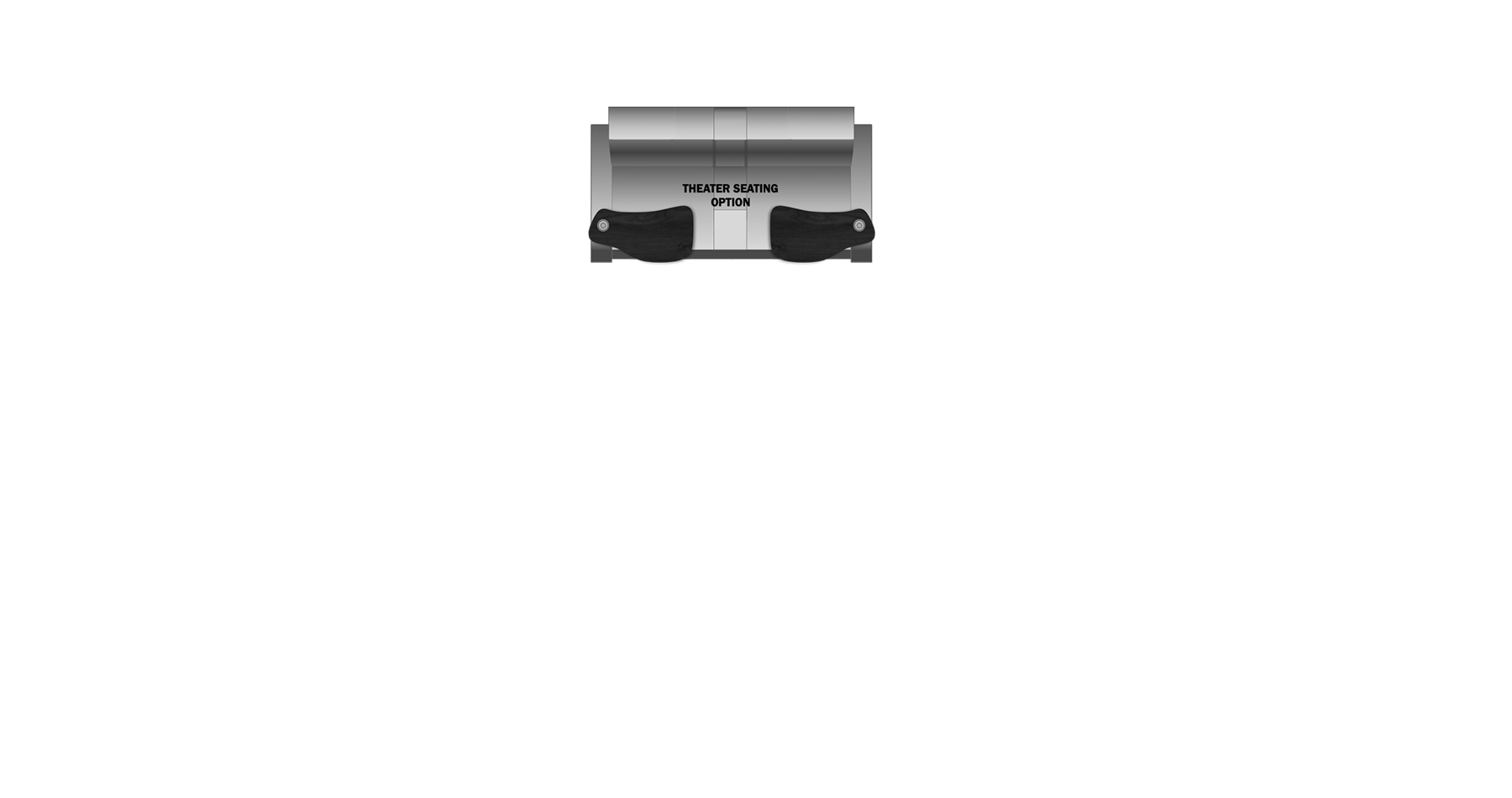 Theater Seat Option